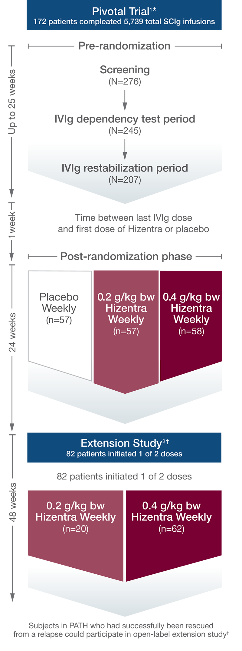 CIDP Pivotal Trial and Open-Label Extension Study Chart