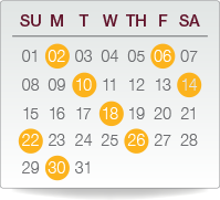 Flexible infusion schedule chart