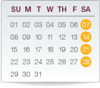 Flexible infusion schedule chart