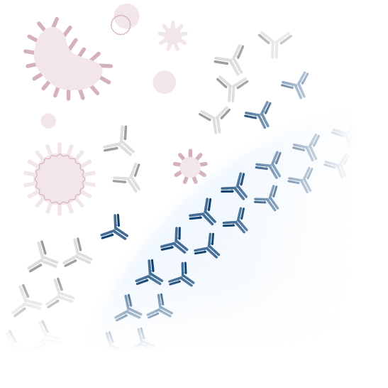 Graphical depiction of how PI effects your body's defense against germs